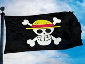 Edu One Piece