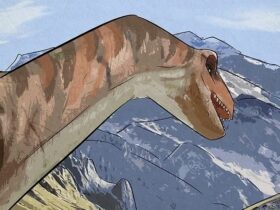 T-Rex dan Hujan Meteor